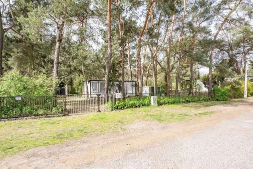 Blick von der Straße ins Grund - Grundstück in 14480 Potsdam mit 900m² kaufen