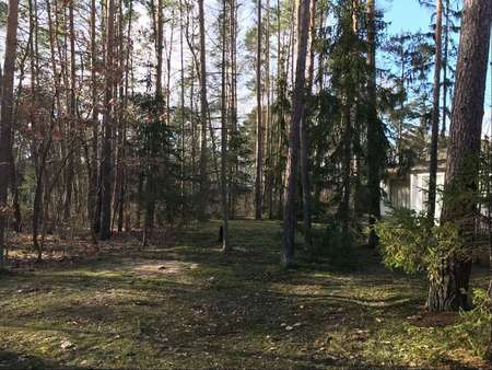 Blick ins Grundstück - Grundstück in 15345 Petershagen/Eggersdorf mit 729m² kaufen