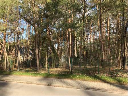 Straßenansicht - Grundstück in 15345 Petershagen/Eggersdorf mit 729m² kaufen