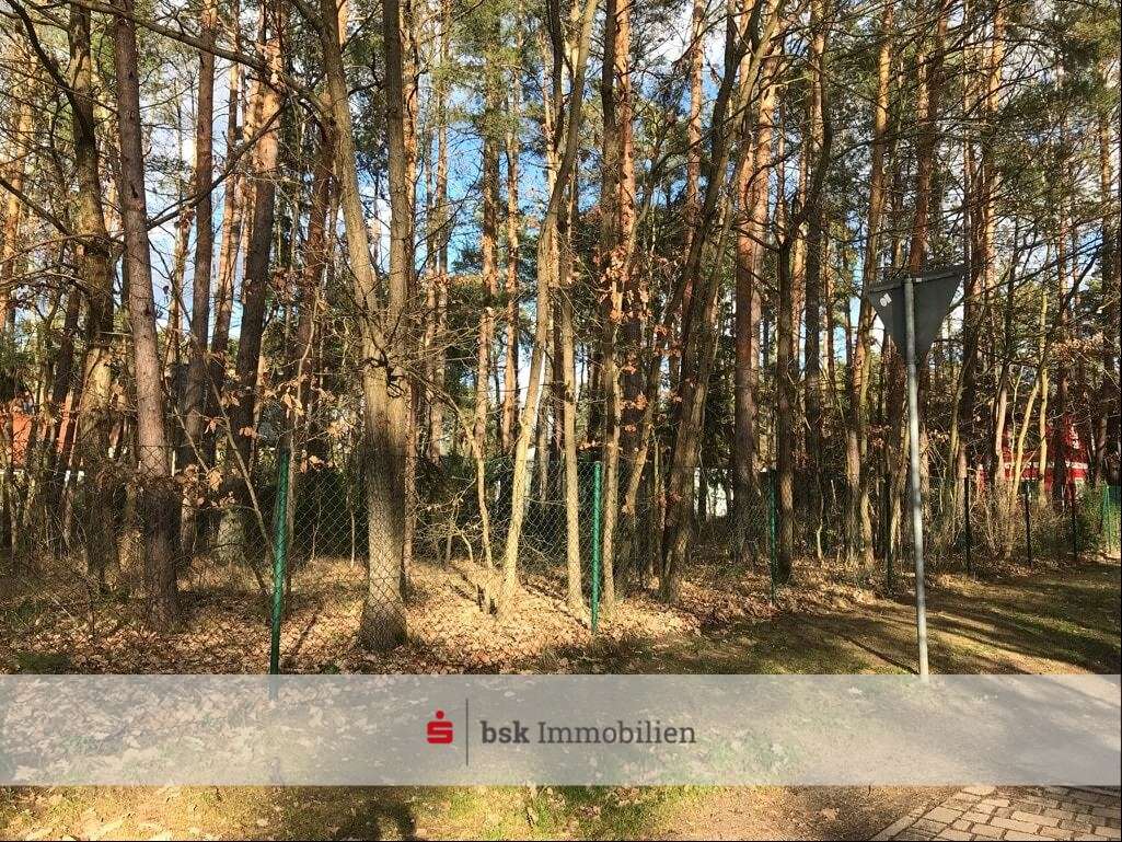 Grundstücksansicht - Grundstück in 15345 Petershagen/Eggersdorf mit 729m² kaufen