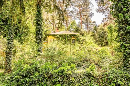 verwunschener Garten verwunschener Garten - Einfamilienhaus in 15754 Heidesee mit 98m² kaufen