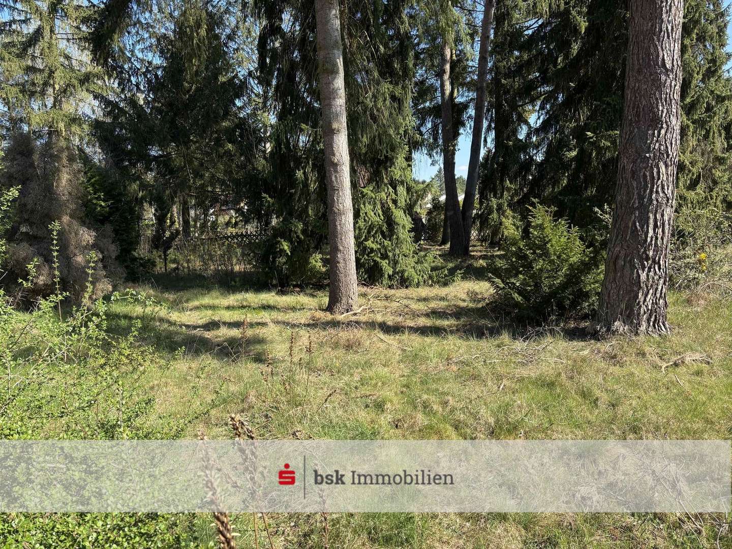 Blick auf das Grundstück - Grundstück in 15345 Petershagen/Eggersdorf mit 604m² kaufen