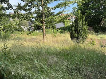 zu verkaufende Grundstücksfläche zu verkaufende Grundstücksfläche - Grundstück in 12623 Berlin mit 600m² kaufen