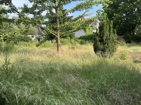 Ansprechendes Wohnbaugrundstück in guter Lage in Mahlsdorf-Nord