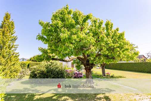 Garten - Grundstück in 12623 Berlin mit 1128m² kaufen