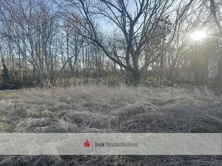 Ansicht Grundstück Ansicht Grundstück - Grundstück in 12526 Berlin mit 2560m² kaufen