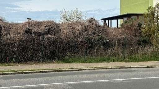 Bauplatz in Güstrow!