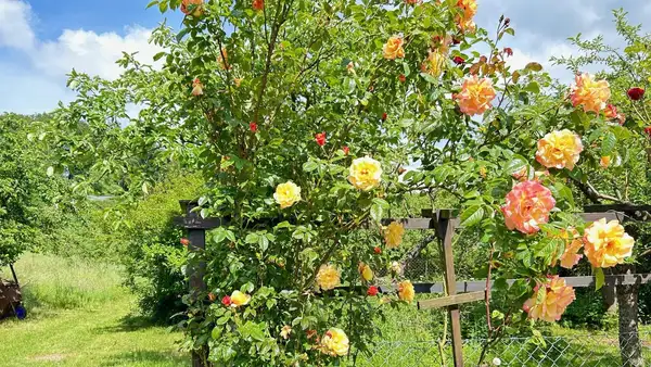 Entwicklungspotenzial in ruhiger Lage