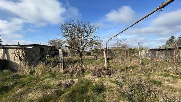 Garten - Doppelhaushälfte in 18246 Oettelin mit 80m² kaufen