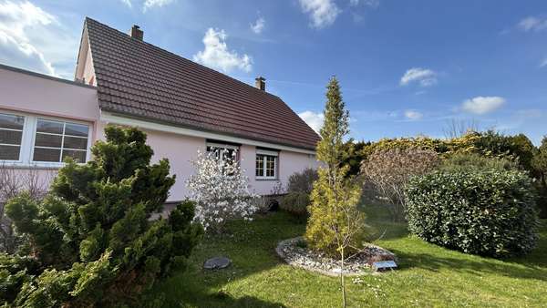 Straßenansicht - Einfamilienhaus in 18246 Steinhagen mit 82m² kaufen