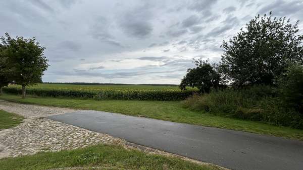Blick in die Landschaft - Reihenendhaus in 18276 Reimershagen mit 100m² kaufen