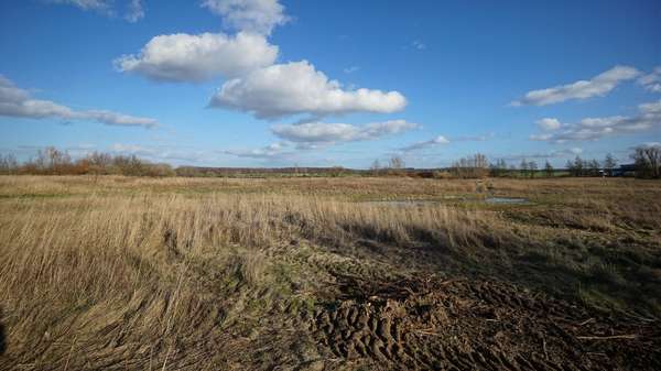 Zwischen Wismar und Schwerin - Grundstück in 23972 Groß Stieten mit 983m² kaufen