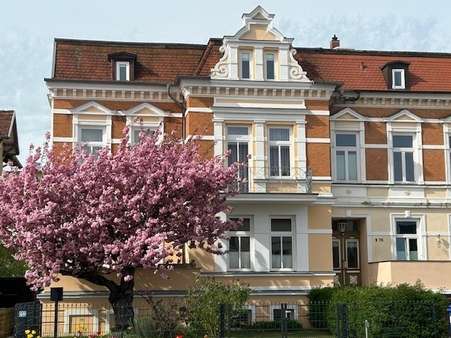 Ansicht Straßenseite - Etagenwohnung in 18273 Güstrow mit 149m² kaufen