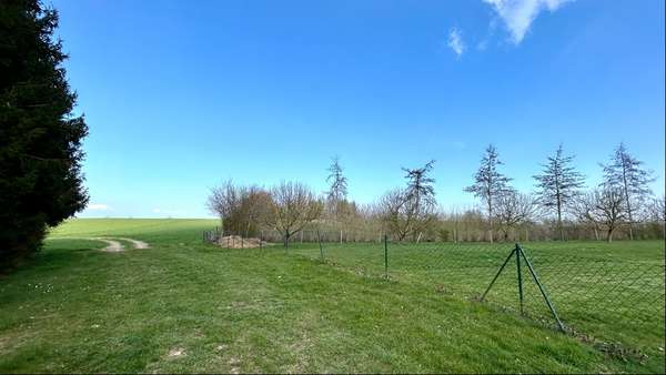 Blick zum Feldrand - Grundstück in 23948 Hohen Schönberg mit 2646m² kaufen