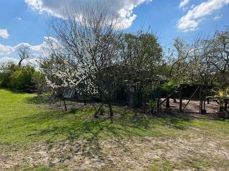 Grundstück - Herrenhaus in 23972 Dorf Mecklenburg mit 372m² kaufen