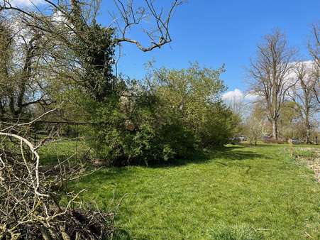 Grundstück - Herrenhaus in 23972 Dorf Mecklenburg mit 372m² kaufen