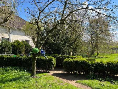 Grundstück - Herrenhaus in 23972 Dorf Mecklenburg mit 372m² kaufen