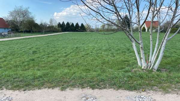 IMG-20250415-WA0008 - Grundstück in 17111 Sarow mit 1086m² kaufen