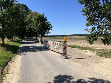 IMG_1621 - Grundstück in 17159 Dargun mit 1182m² kaufen