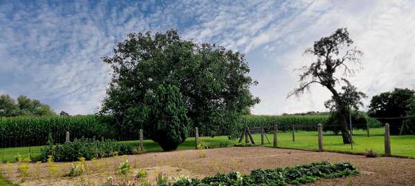 Garten - Landhaus in 17309 Brietzig mit 75m² kaufen