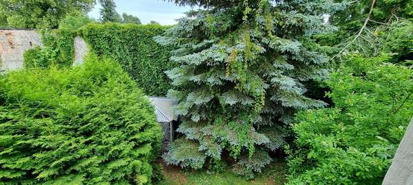 Blick in den Garten - Mehrfamilienhaus in 17367 Eggesin mit 340m² kaufen