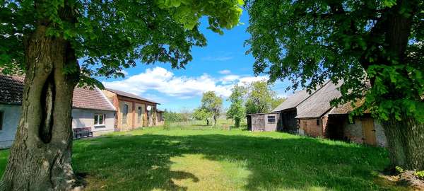 Blick zur Koppel Blick zur Koppel - Einfamilienhaus in 17375 Leopoldshagen mit 131m² kaufen