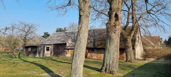 Nebengebäude 1 Nebengebäude 1 - Einfamilienhaus in 17375 Leopoldshagen mit 131m² kaufen