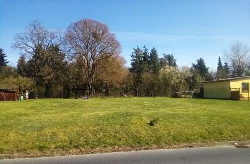 Reichlich Platz für Ihr Haus Reichlich Platz für Ihr Haus - Grundstück in 17337 Uckerland mit 787m² kaufen