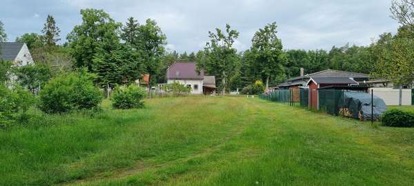 Blick vom Wald Richtung Straße Blick vom Wald Richtung Straße - Grundstück in 17375 Ahlbeck mit 830m² kaufen