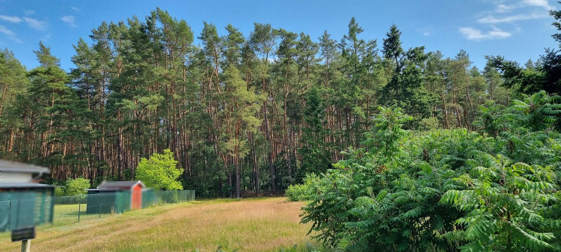 Gefällt es Ihnen? Gefällt es Ihnen? - Grundstück in 17375 Ahlbeck mit 830m² kaufen