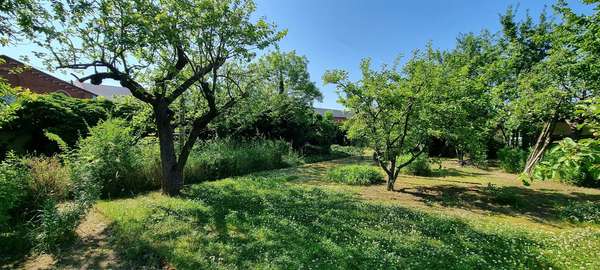 Garten im hinteren Bereich Garten im hinteren Bereich - Einfamilienhaus in 17309 Pasewalk mit 132m² kaufen