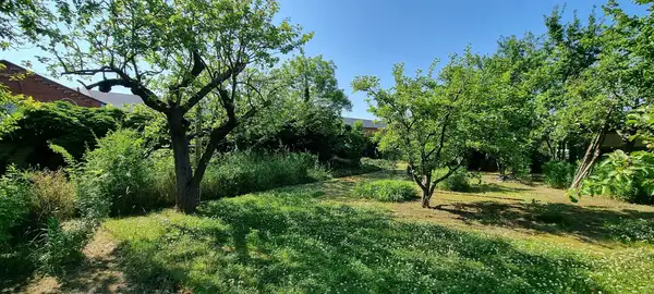 Pasewalk - Ihr Haus in wunderbarer, ruhiger Lage