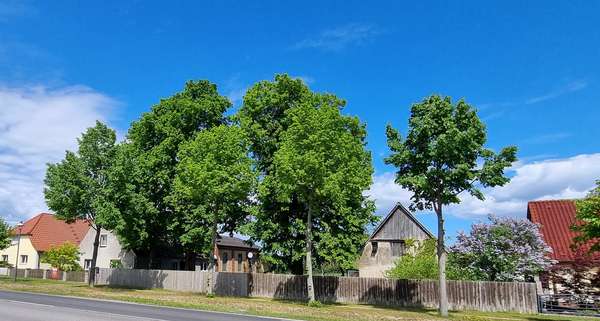 Großer Bauernhof - Bauernhaus in 17375 Leopoldshagen mit 131m² kaufen