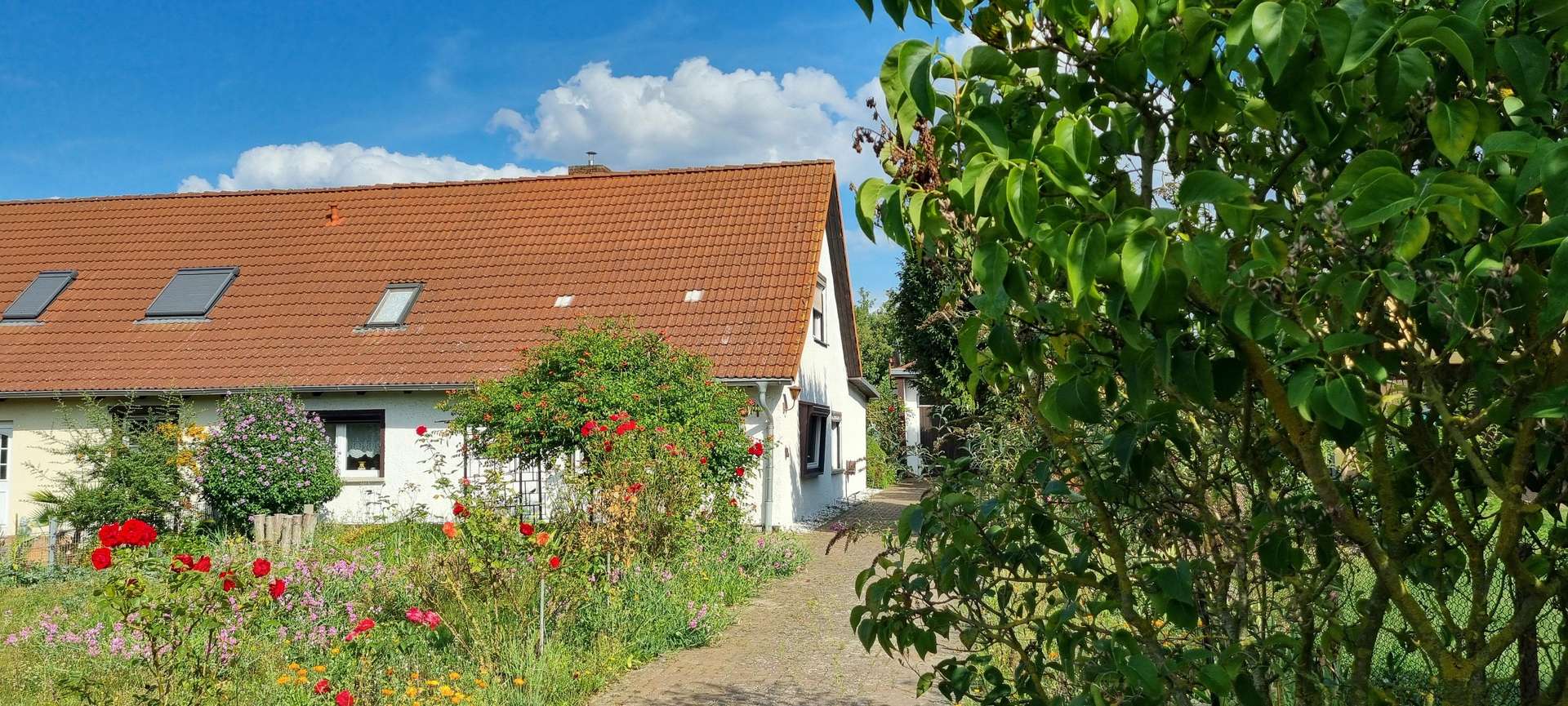 #Prenzlau - Einfamilienhaus in 17291 Prenzlau mit 120m² kaufen