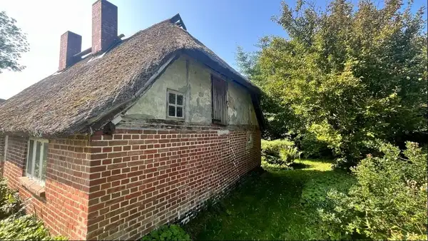 Reetdachidylle auf weitem Land 