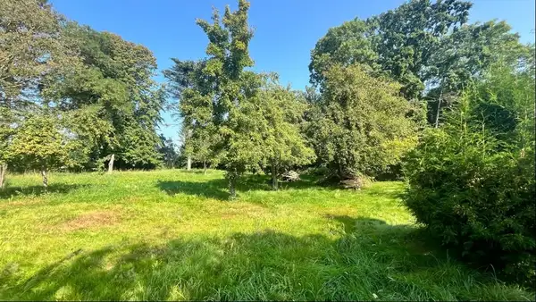 Reetdachidylle auf weitem Land 