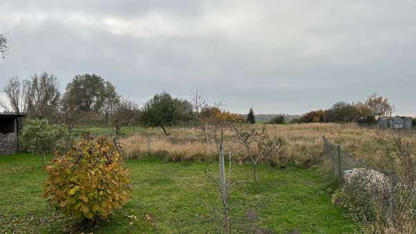 Garten und Wiese Garten und Wiese - Einfamilienhaus in 17391 Krusenfelde mit 170m² kaufen