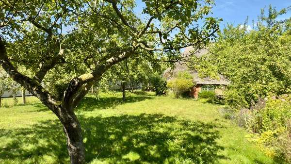 Grundstück Grundstück - Doppelhaushälfte in 18586 Lancken-Granitz mit 46m² kaufen