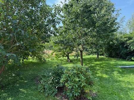 Garten Garten - Zweifamilienhaus in 17498 Dargelin mit 212m² kaufen