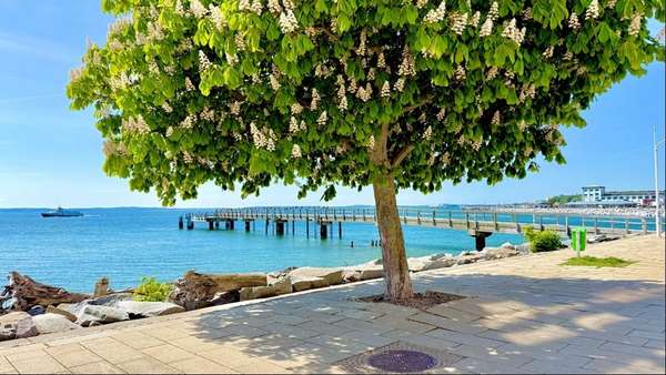 Seebrücke Seebrücke - Etagenwohnung in 18546 Sassnitz mit 50m² kaufen