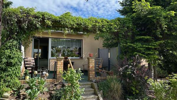 Terrasse Terrasse - Einfamilienhaus in 17389 Anklam mit 82m² kaufen