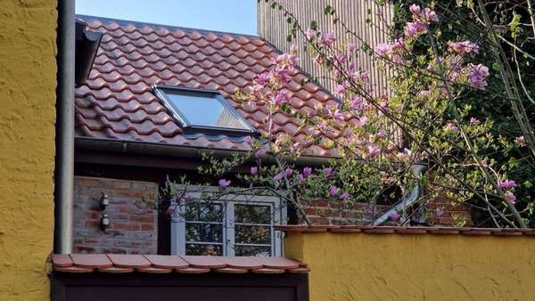 Blühende Magnolie Blühende Magnolie - Stadthaus in 18465 Tribsees mit 203m² kaufen