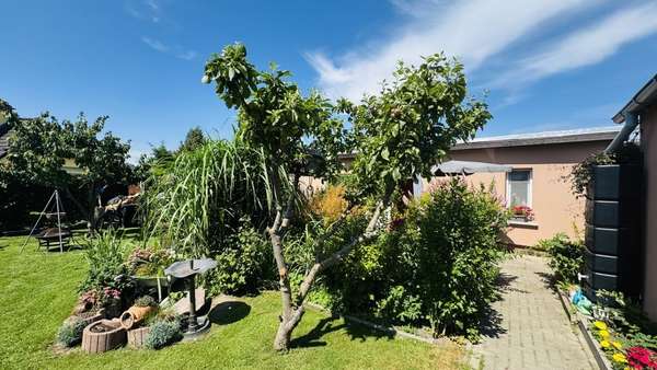 Bungalow Bungalow - Doppelhaushälfte in 18556 Dranske mit 94m² kaufen