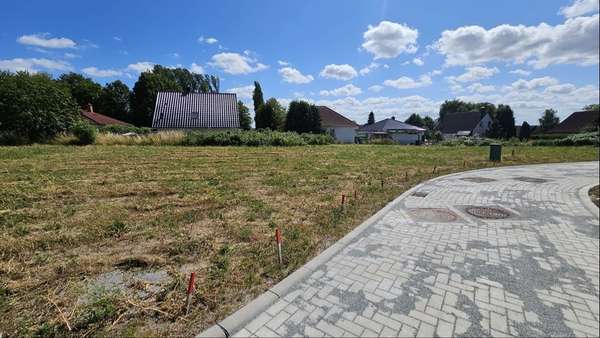 Außenansicht Außenansicht - Grundstück in 18442 Pantelitz mit 714m² kaufen