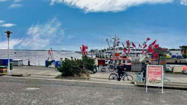 Hafen Vitte - Ladenlokal in 18565 Insel Hiddensee mit 35m² kaufen
