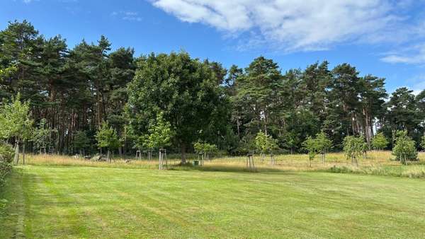 Außenansicht - Grundstück in 17440 Lütow mit 2000m² kaufen