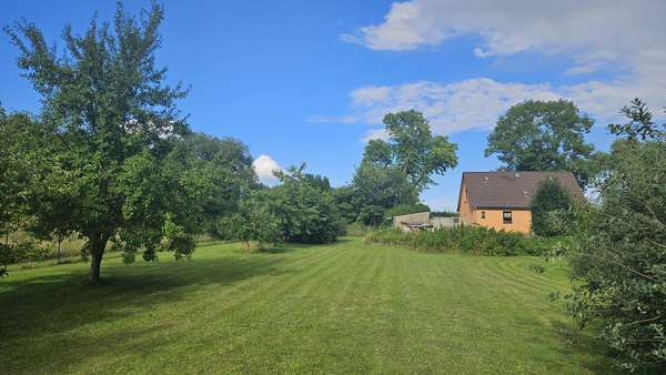 Wiese mit Obstbäumen - Einfamilienhaus in 17506 Gützkow mit 130m² kaufen