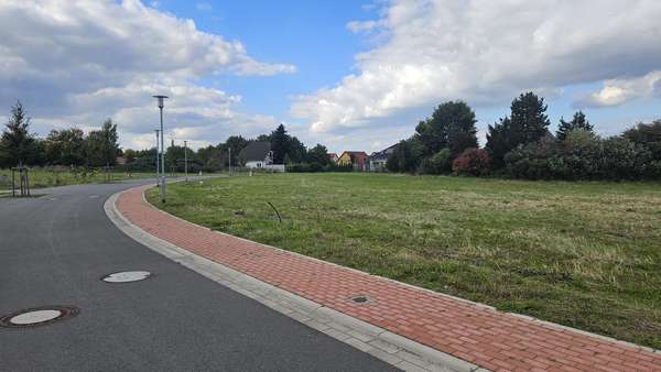 Seitenansicht - Grundstück in 18469 Velgast mit 763m² kaufen