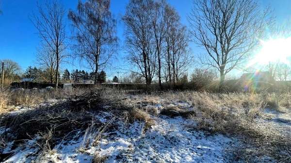 Grundstück - Grundstück in 18516 Süderholz mit 1100m² kaufen