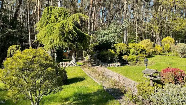 Idyllische Lage am Waldrand